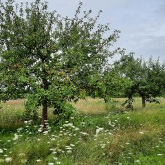 Impressionen vom Bergwerksee