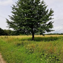 Impressionen vom Bergwerksee